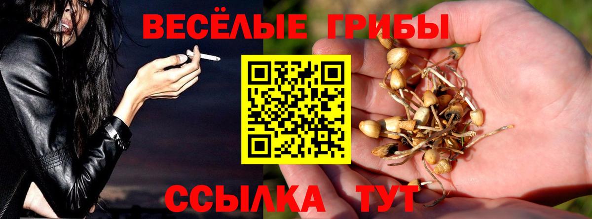Галлюциногенные грибы Magic Shrooms  Вход с VPN  Краснокаменск 